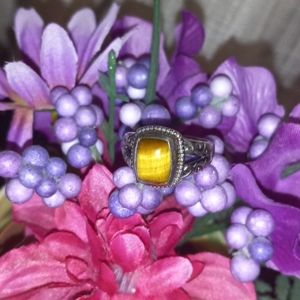 Tigers eye Ring